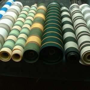 Tenda tkanina: opis i primjenu