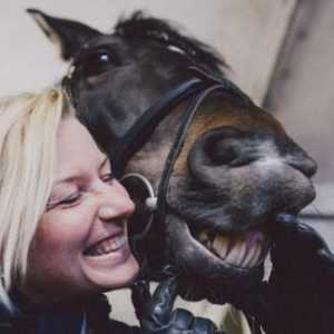 Znanstvenici kažu da je konj smiješi i grimase kao čovjek!