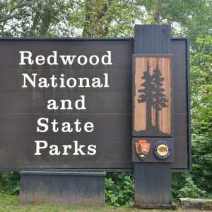 Jedinstvena Nacionalni park „Crveno drvo”, Kalifornija