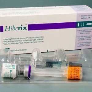 Cjepivo „hiberiks” Što trebate znati prije inokulacije