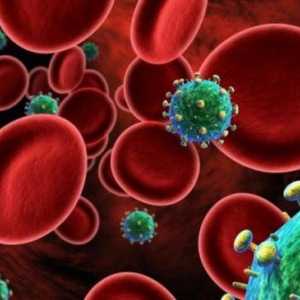 HIV - ako se liječi u ranim fazama? da li se liječi HIV potpuno?