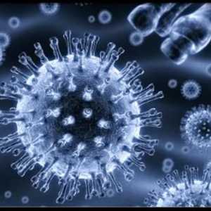 Virusnih infekcija Epstein-Barr: relevantnost, Epidemiology, kliničke slike, liječenje