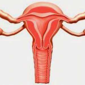Jajnika upala: simptomi i tretman za žene, uzroci, dijagnoza