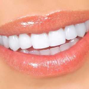 Umjetni zubi: vrste i karakteristike